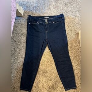 Torrid, 22 short, Jegging, super soft.